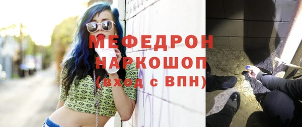 крисы Бородино