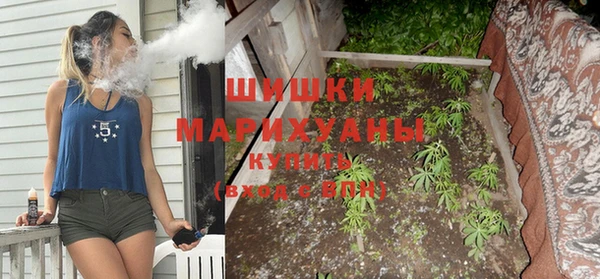 молекула духа Бронницы