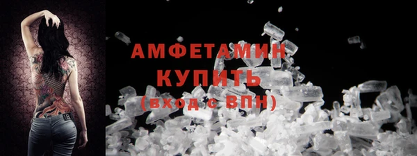 крисы Бородино