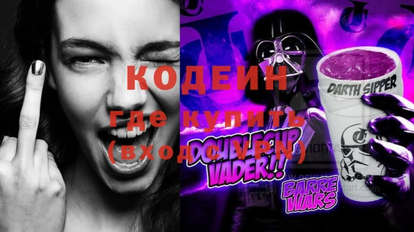 крисы Бородино