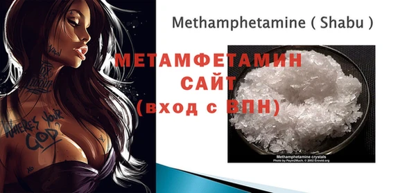 крисы Бородино